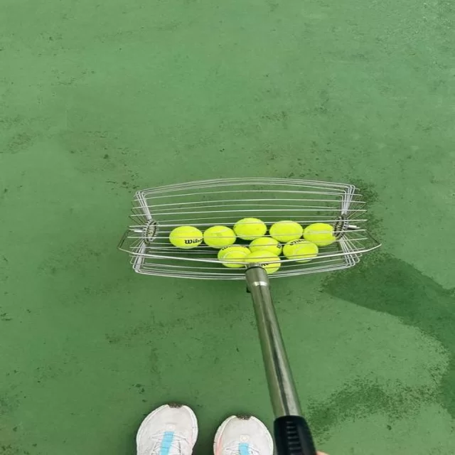 聚焦体育焦点人物与战术背后的故事